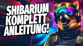 💰SHIBARIUM CHAIN KOMPLETT ANLEITUNG DEUTSCH - METAMASK, BRIDGE UND NEUE SHIBARIUM TOKEN!