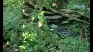Crash in FeelPark
