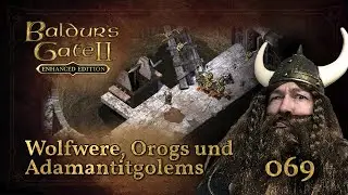 Wolfwere, Orogs und Adamantitgolems - 069 🪓 Baldur's Gate 2 🪓