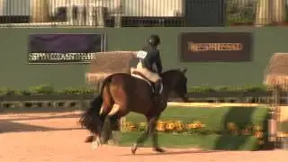 Video of TIMELESS ridden by YVETTA RECHLER-NEWMAN from ShowNet!