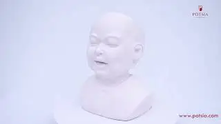 Buy Snow Bust Face Planter | Unbreakable Fiber | Potsia
