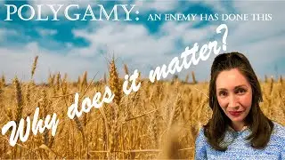 1 Why does it matter? | Polygamy: An Enemy Has Done This