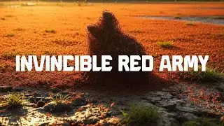 The Red Imported Fire Ant Colony: How a Super-Pest Empire Survives a Catastrophic Flood