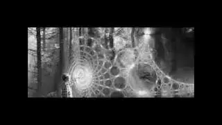 Ozric Tentacles - A very rare