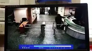 Эхо Москвы: напавший на ведущую Фельгенгауэр ослепляет охранника