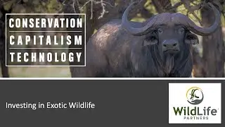 Investing in Exotic Wildlife, Brian Gilroy, May 6, 2023