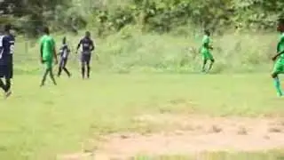 Future assurance vs Darinho