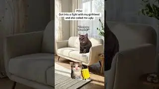 CAT MEMES 🐱Got into a fight with my GF and she called me ugly #catmemes #relatable #relationship