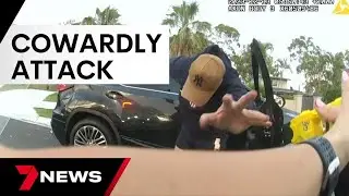 Man sentenced over attack of solo policewoman on the Gold Coast  | 7 News Australia