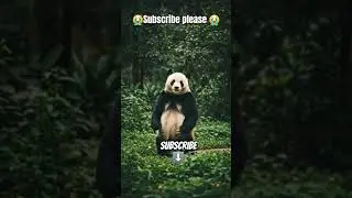 dancing panda on jungle 😭🎀#DreamScreenAI #ai #aicreator #shorts #viral #trending #dreamtime