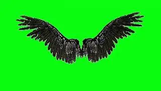 Amazing  angel wings for your personal Videos