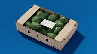 Revolutionising Fresh Produce: Discover the RYPEN Leaf