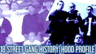 18 STREET GANG HISTORY(HOOD PROFILE)