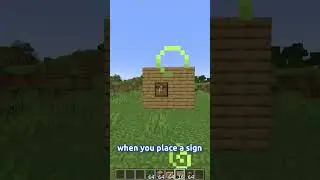 Minecraft Item Frame Tips