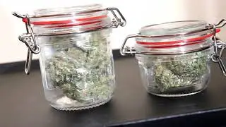 SUPREME JARS REVIEW