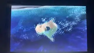 Zoo Resort 3DS: California Sea Lion