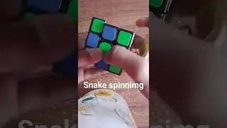 snake spinning