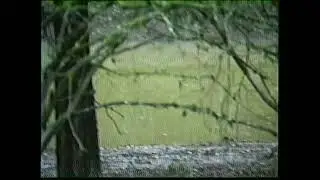 Wilfley Family - Ranch Lake & Dam 1990