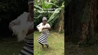 Tiv cultural dance,largest ethnic group in benue state nigeria #culture #shorts #viral #shortsafrica