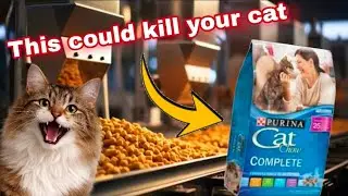 The TRUTH Behind CAT FOOD Companies and KIBBLE Causing CANCER!
