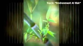 Earth And Environment