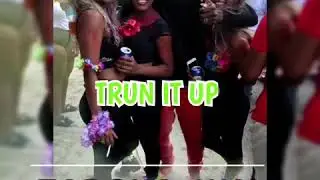 Sensi  ,Tarcha King  - Tun  It  Up