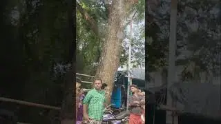 #elephant #aanapremi #poorapremikal #trending #youtubeshorts #viral