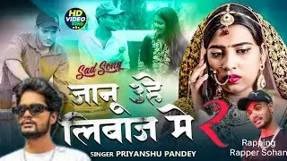 #Video _ A Janu Uhe Liwaj Me Hamra Se Mile 2 | जानू उहे लिबाज़ मे 2 |#rapper_sohan | sad song 2025 |