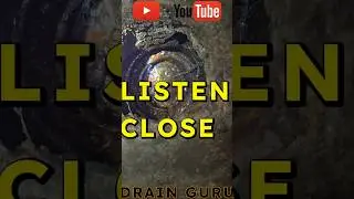 BREEDING LIFE IN YOUR FLOOR DRAIN