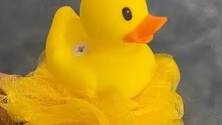 Scrubber Ducky Commercial