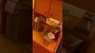 Carnival Glory Interior cabin 2022 #carnivalglory