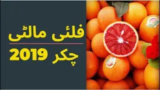 Palai Malti Vlog - Malakand Khyber Pakhtunkhwa Pakistan