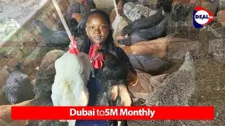 How I Became a Millionaire with Local Chickens in Uganda - Aisha from Mugagga Poultry Breeders