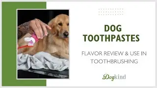 Dog Toothpaste Review