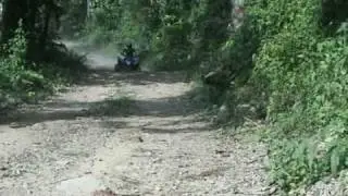 AEON ATV COBRA 220