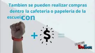 ASESCO - Funcionamiento
