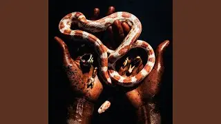 Discipline