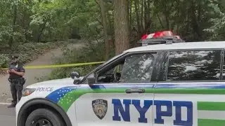Person of interest in custody in Central Park attempted sex assault: sources