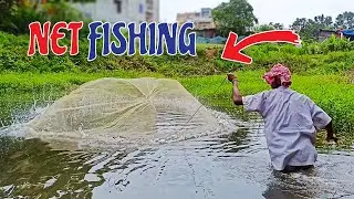 Net fishing in pond || Natural fishing videos || #fishingo