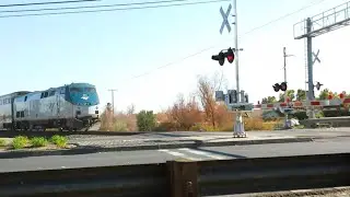 Amtrak 203 Passing Calvine Road Railroad Crossing