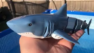 Awesome Radio Control SHARK! Jaws in your Swimming Pool! Banggood