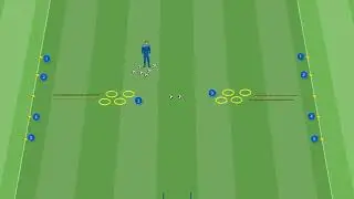 Circuito tecnico-motorio: Gioco della bandiera