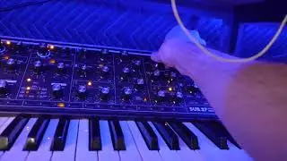 Импровизированное выступление в стиле EDM
