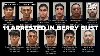 Florida berry heist: 6,000 pounds stolen, 11 arrested in organized crime bust