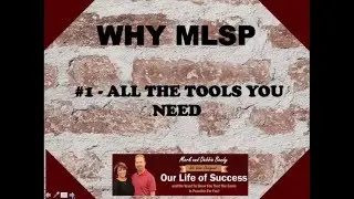 What is MLSP?