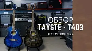 Акустическая гитара Tayste T-403 - музыкальный магазин Music City