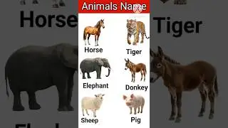 Animals Vocabulary #animalsname #kidslearning #shorts #naimikaclasses