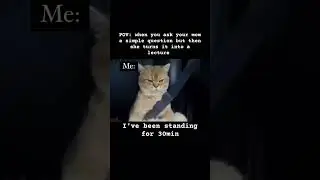 #funnymemes #cat #relatable #moments #capcut