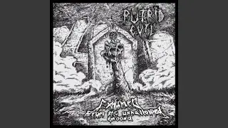 Immersed in Cadaverous Stench