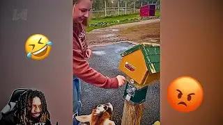 Кто это снимает? Лучшие неудачи недели 🤣 Попробуйте не засмеяться! Смешные видео